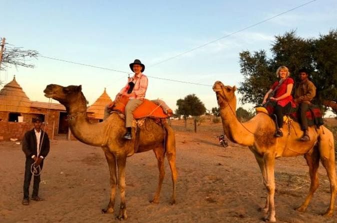 Camel Safari Day Tour In Jaisalmer 