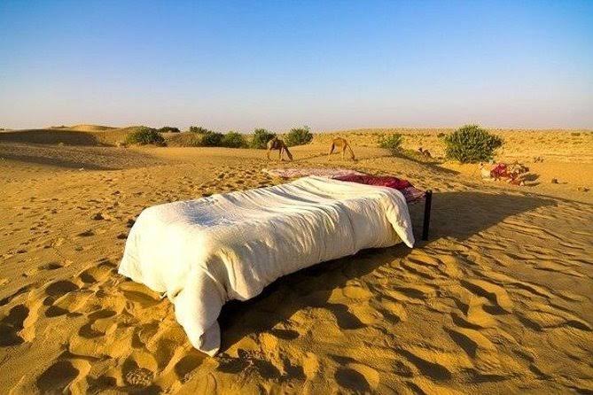 Overnight Stay In Desert With Camel Safari 